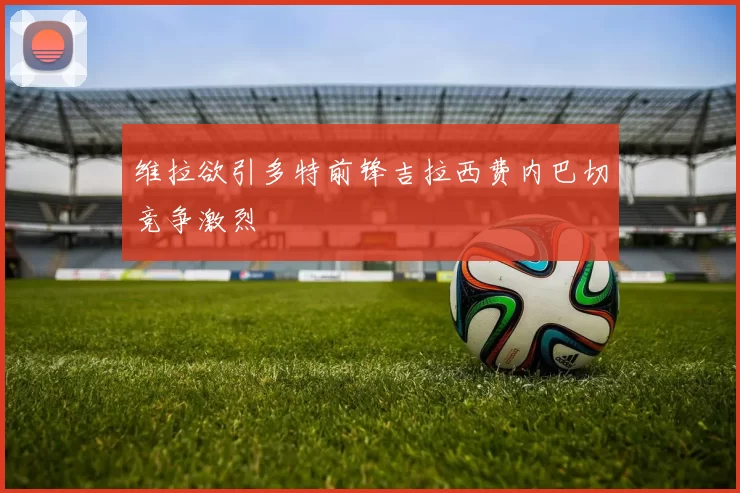 维拉欲引多特前锋吉拉西费内巴切竞争激烈